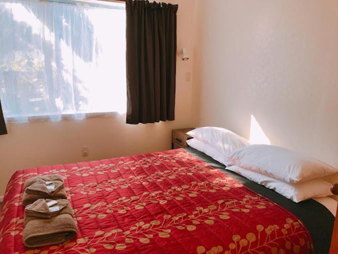 Aaron Court Motel Timaru Εξωτερικό φωτογραφία